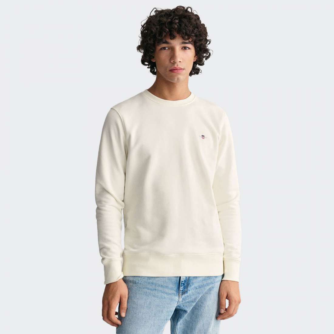 SWEATSHIRT/HOODIE GANT REG SHIELD