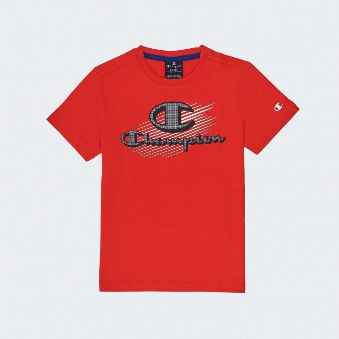 TSHIRT CHAMPION CREWNECK