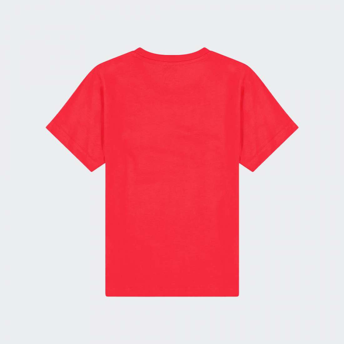 TSHIRT CHAMPION 306285 RS005