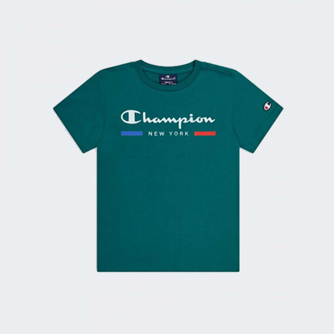 TSHIRT CHAMPION 306695-GS571