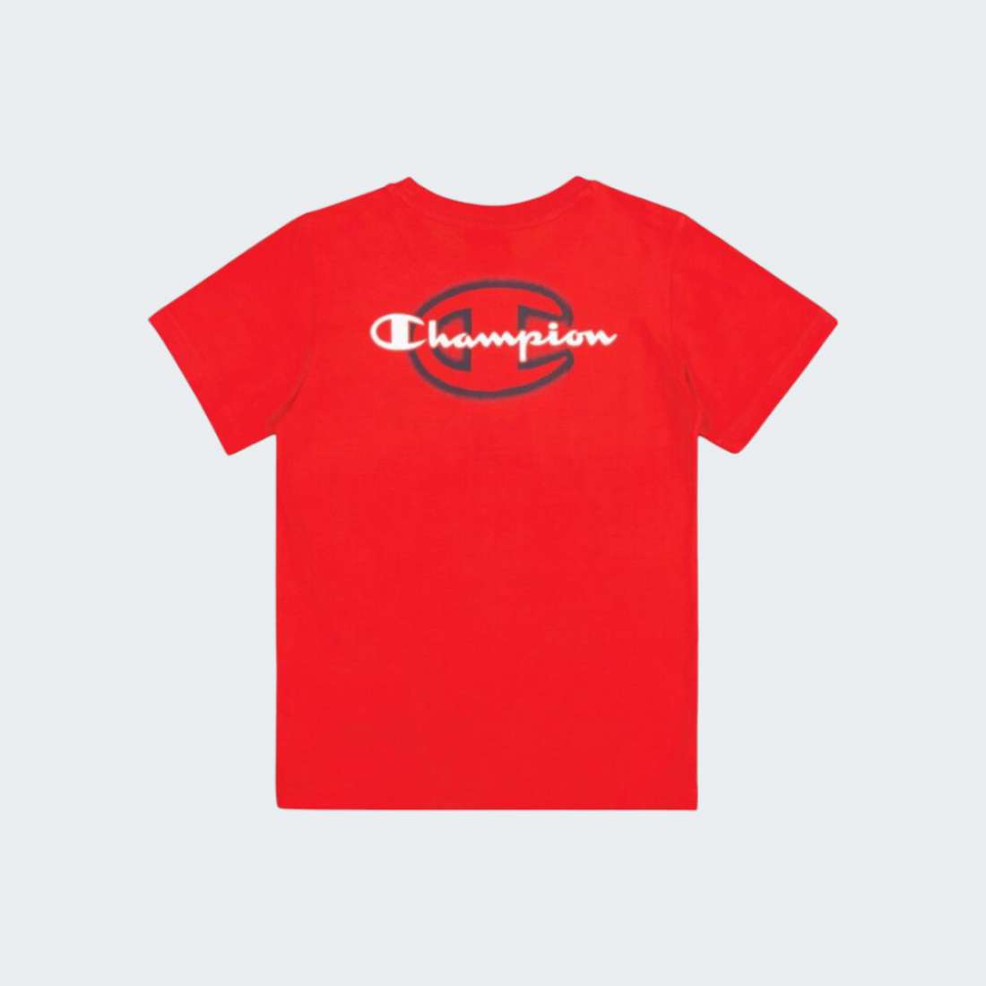 TSHIRT CHAMPION 306988-RS011