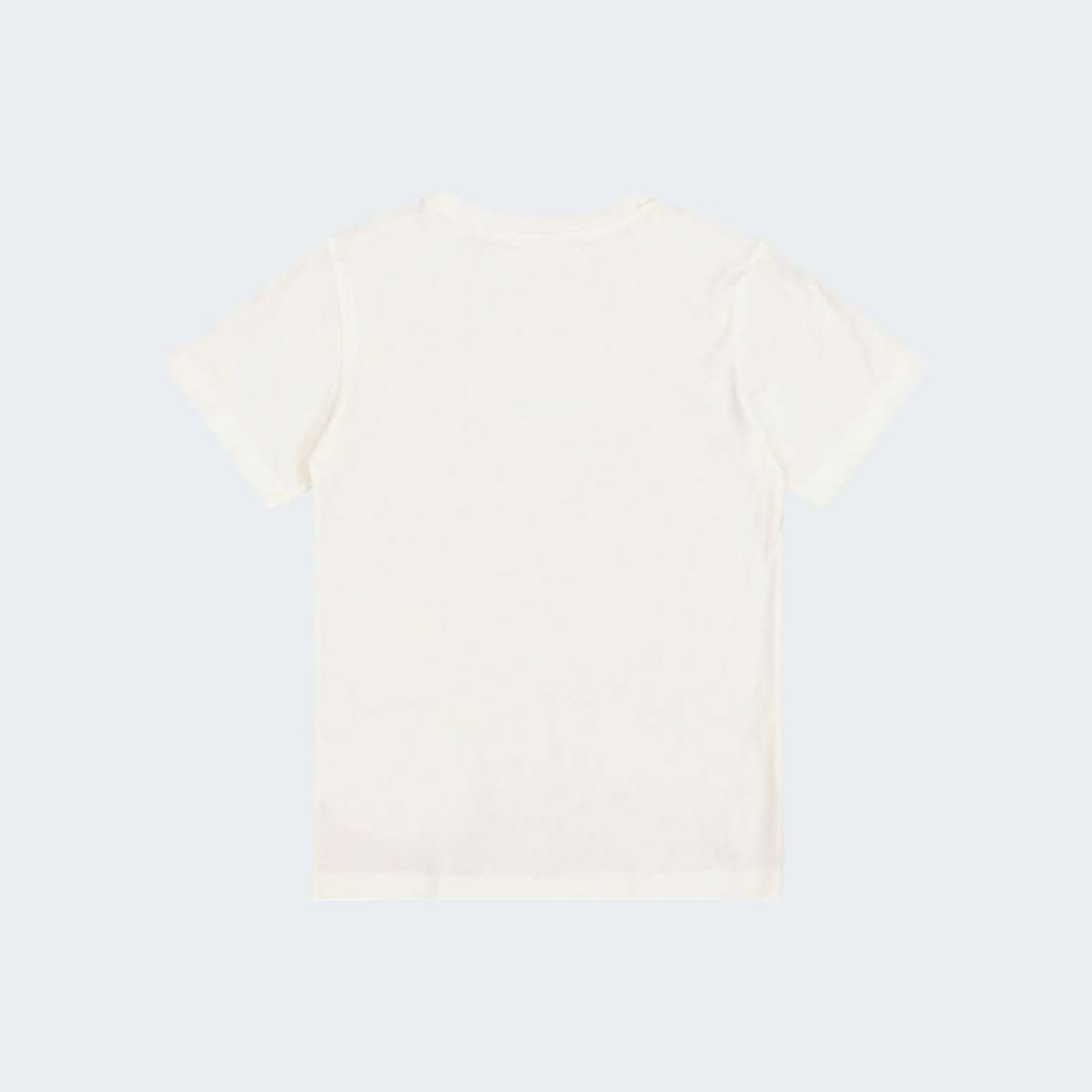 TSHIRT CHAMPION 306989-WW001