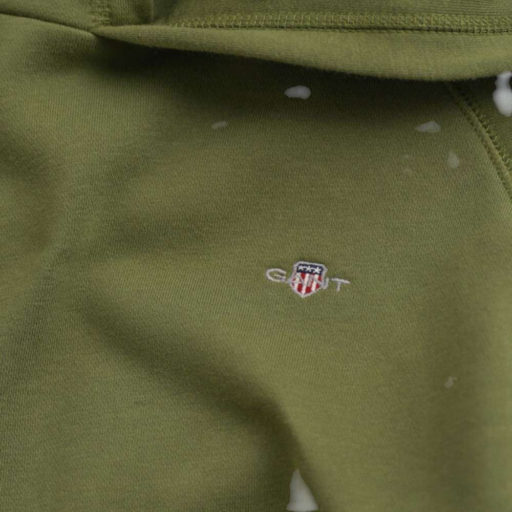HOODIE GANT SHIELD