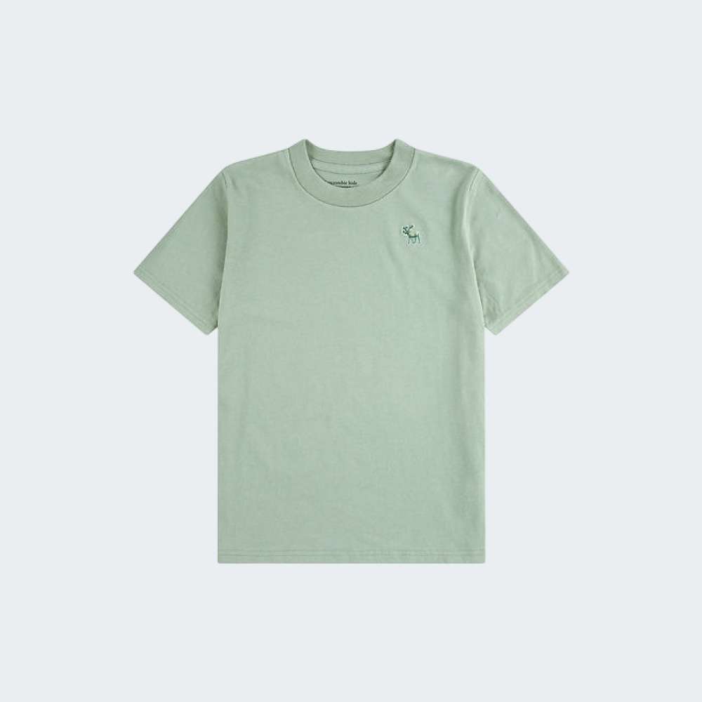 TSHIRT ABERCROMBIE