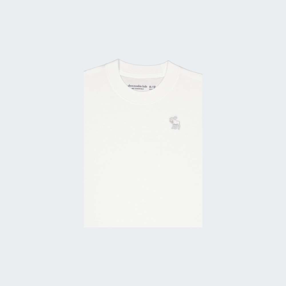 TSHIRT ABERCROMBIE