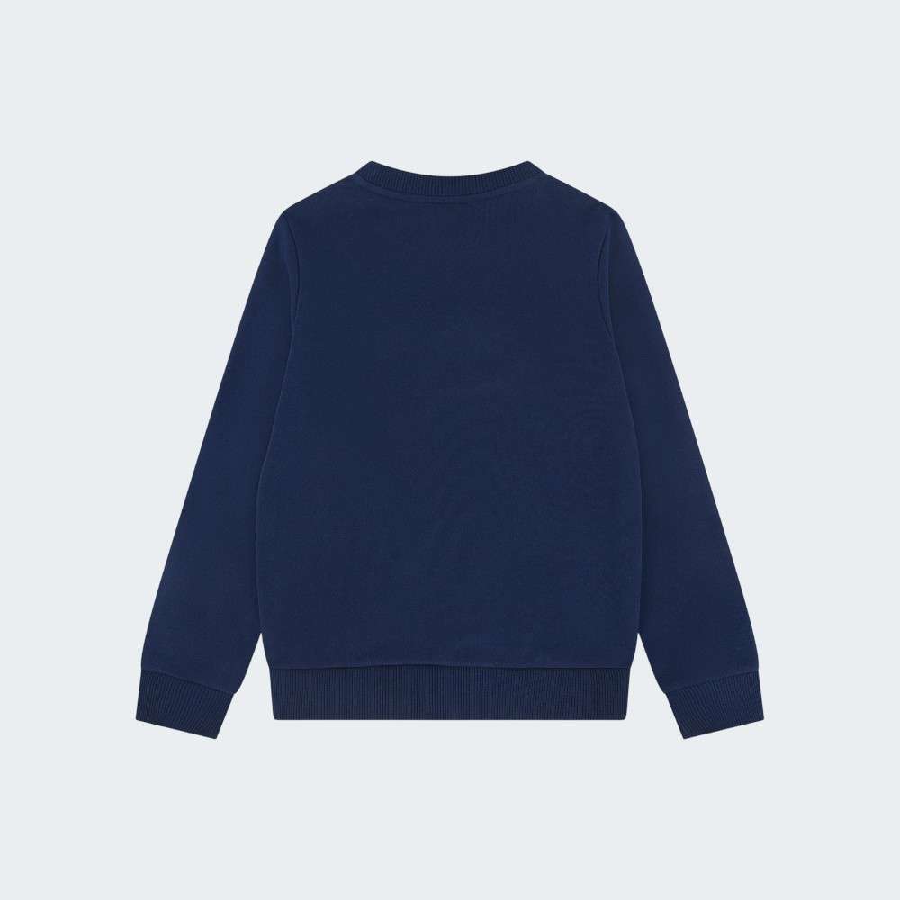 SWEATSHIRT LACOSTE CORE