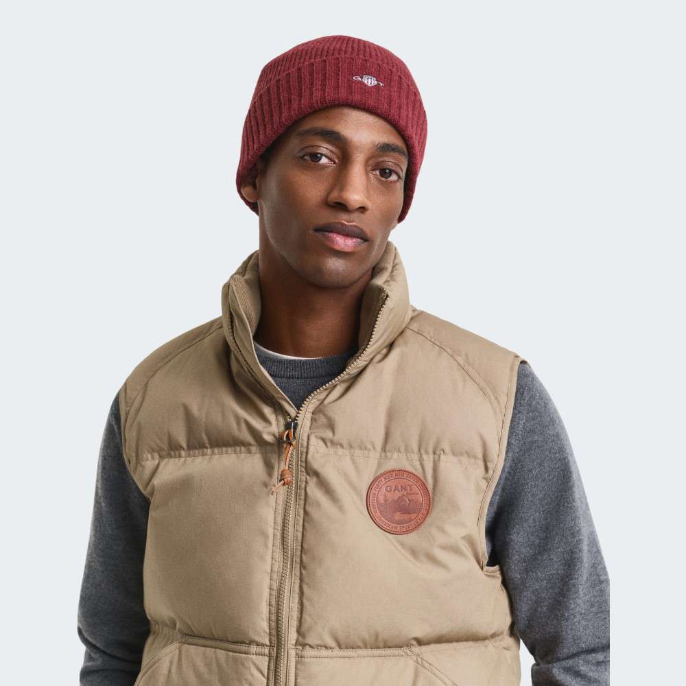 GORRO GANT SHIELD WOOL