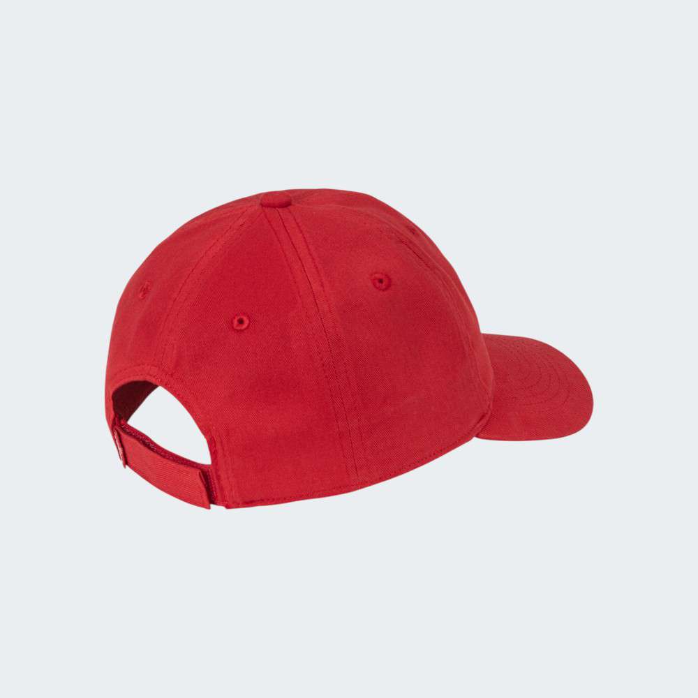 BONE LEVIS 9A8615 POMPEION