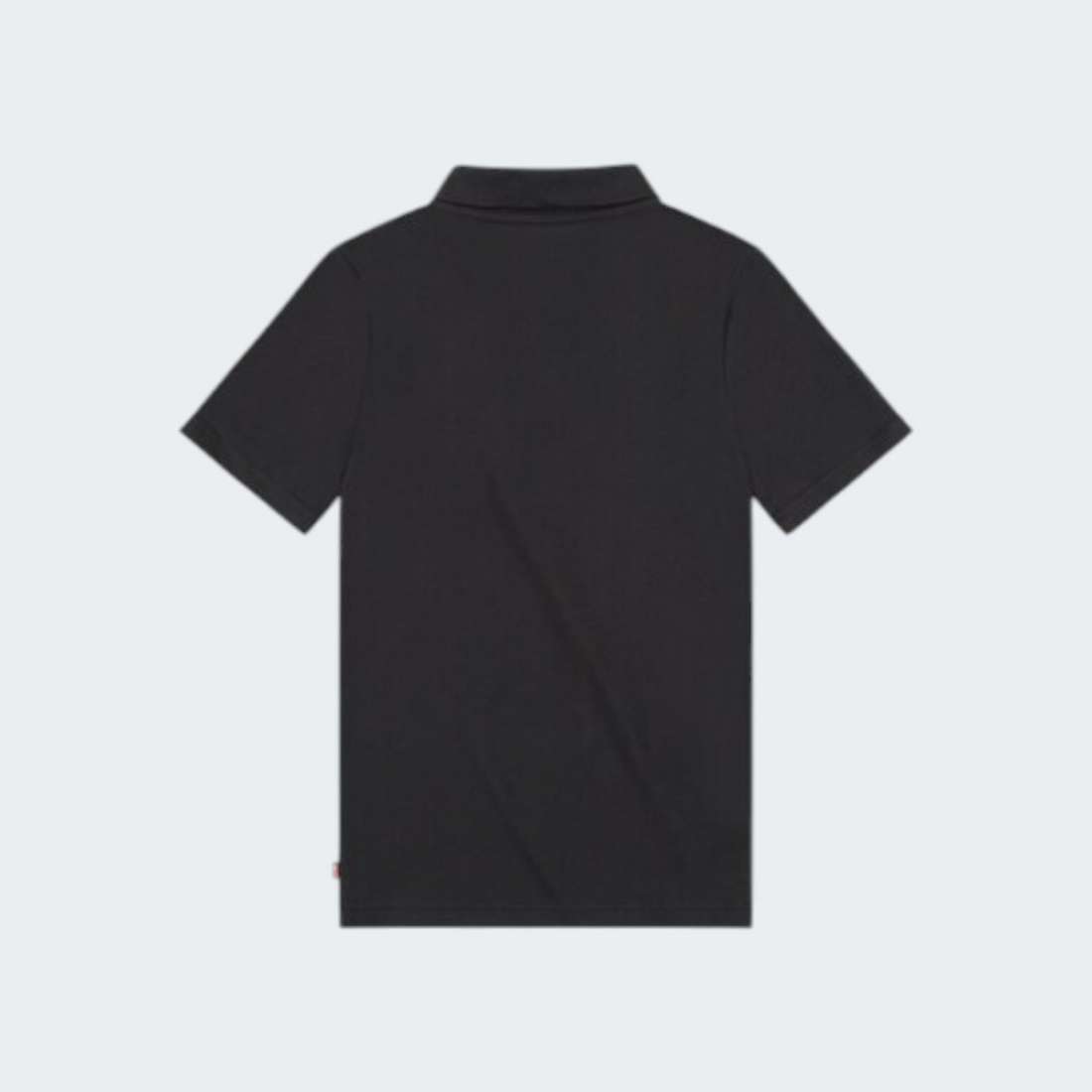 POLO LEVIS LVB METEORITE