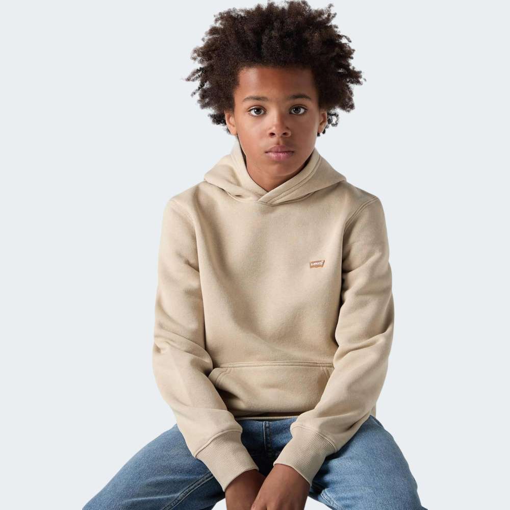 HOODIE LEVIS LVB MINI BATWING