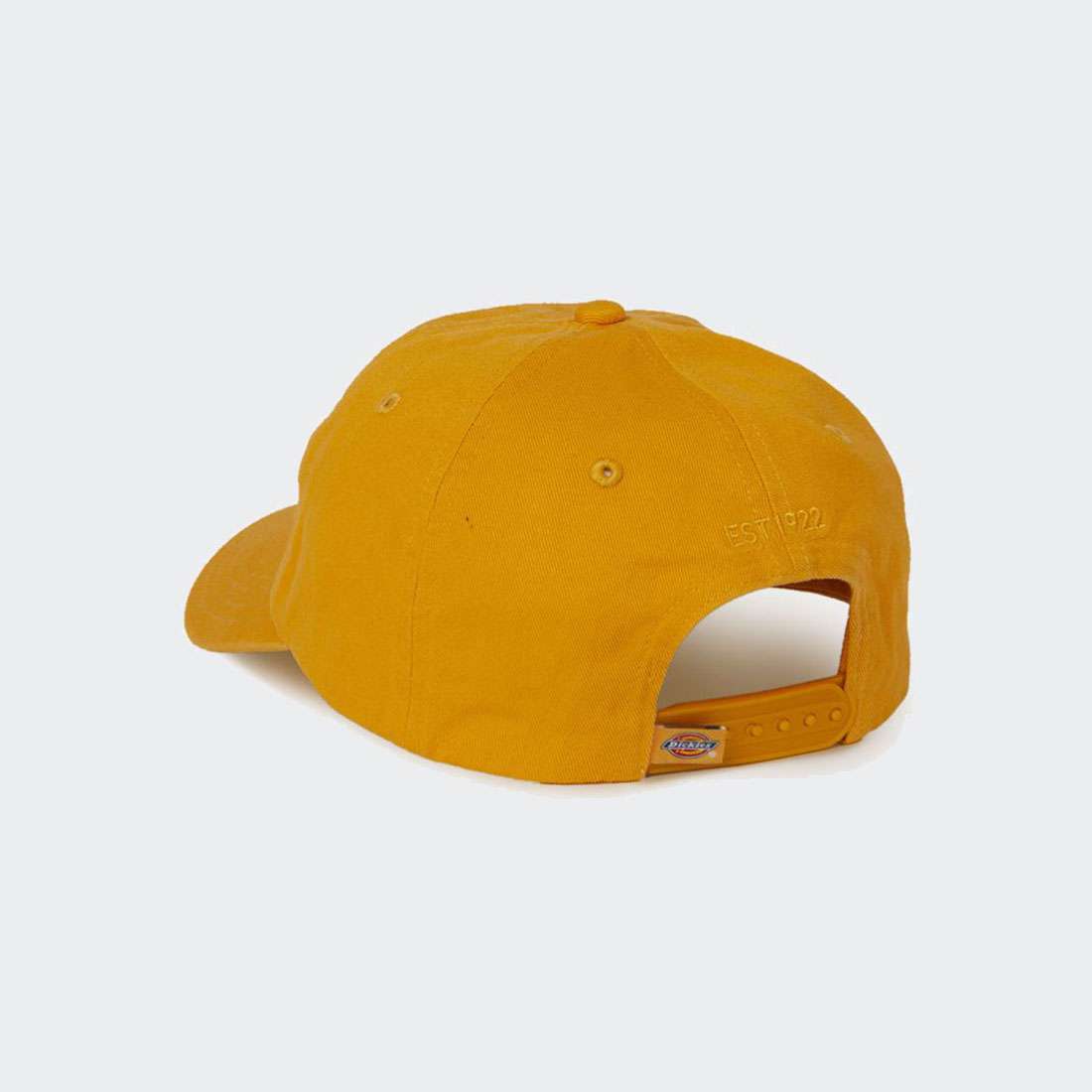 BONÉ DICKIES HARDWICK HONEY