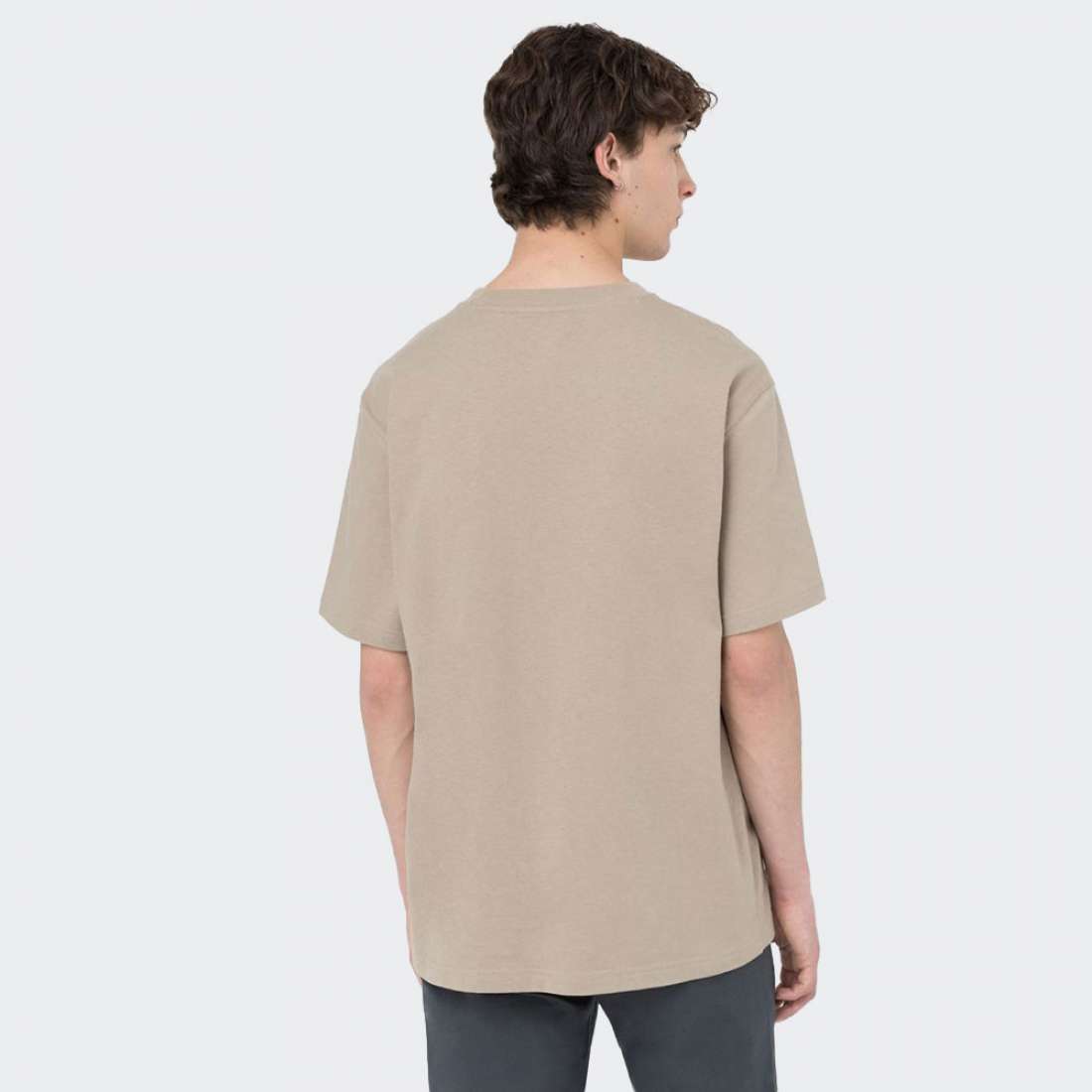 TSHIRT DICKIES PORTERDALE DESERT