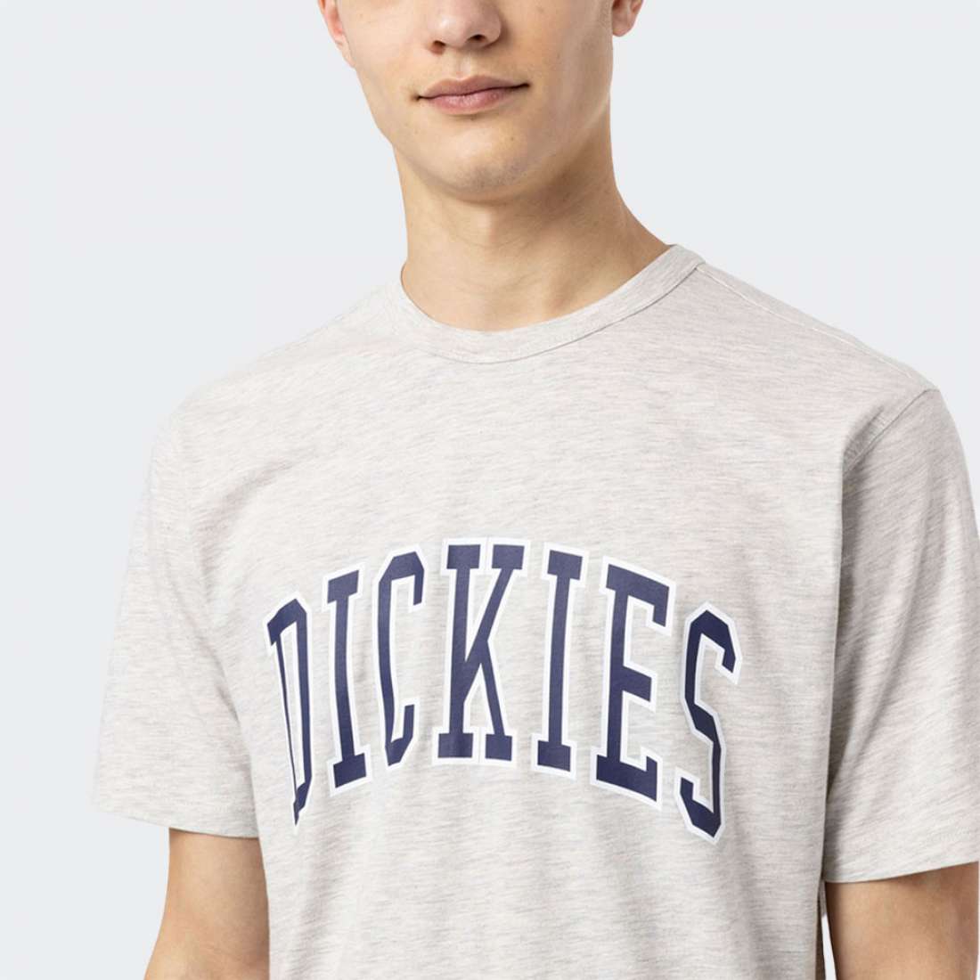 T-SHIRT DICKIES AITKIN GREY/NAVY