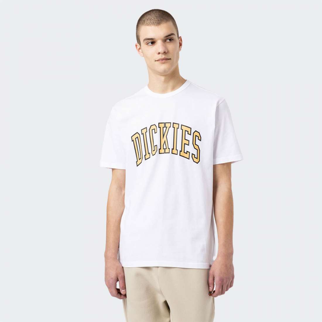 T-SHIRT DICKIES AITKIN WHITE/YELLOW