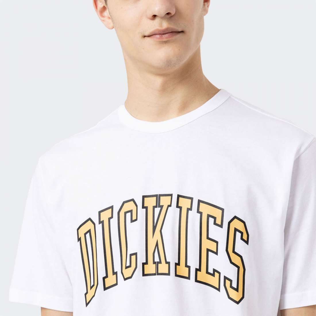 T-SHIRT DICKIES AITKIN WHITE/YELLOW