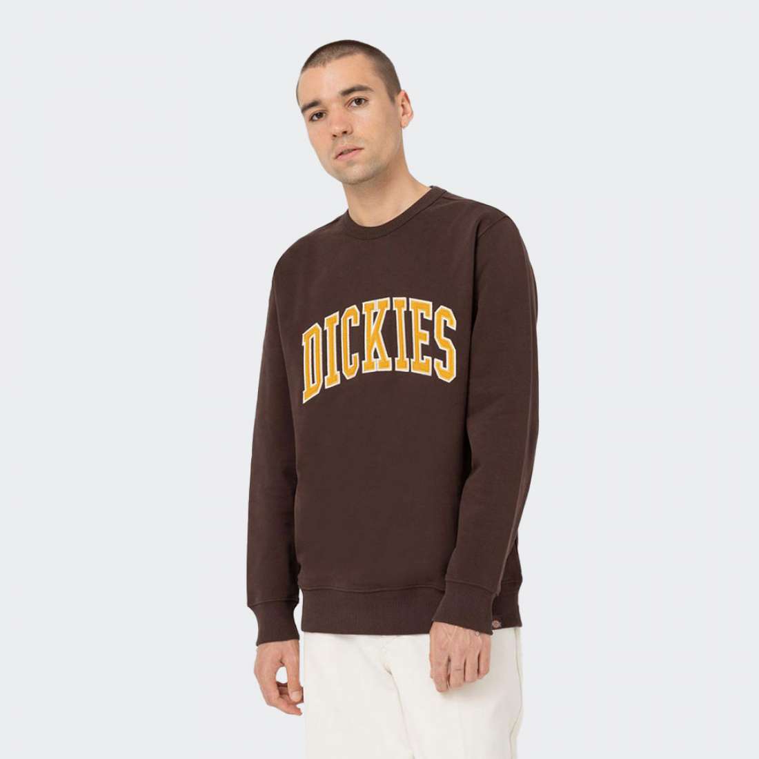 SWEATSHIRT DICKIES AITKIN JAVA