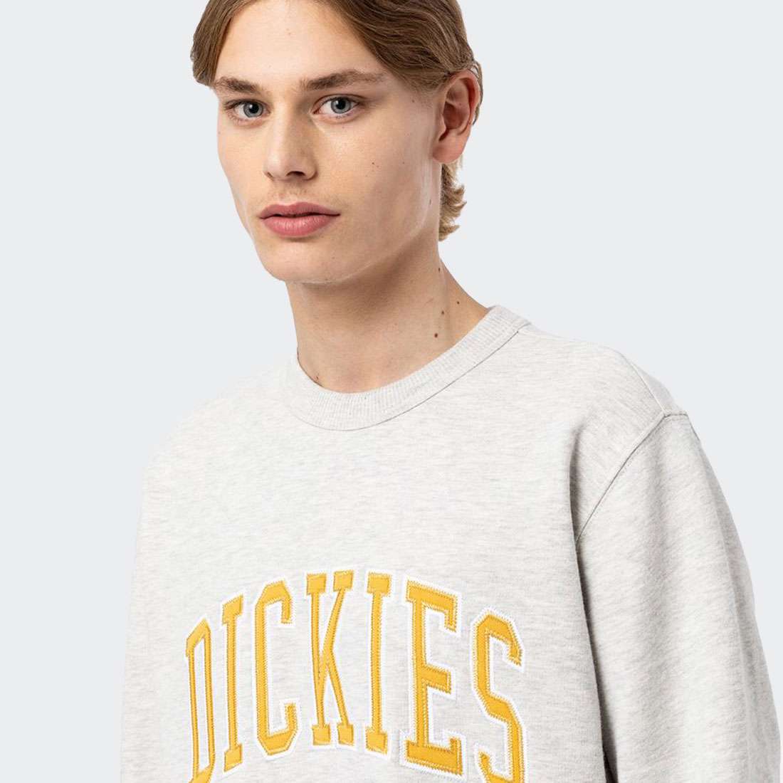 SWEATSHIRT DICKIES AITKIN GREY