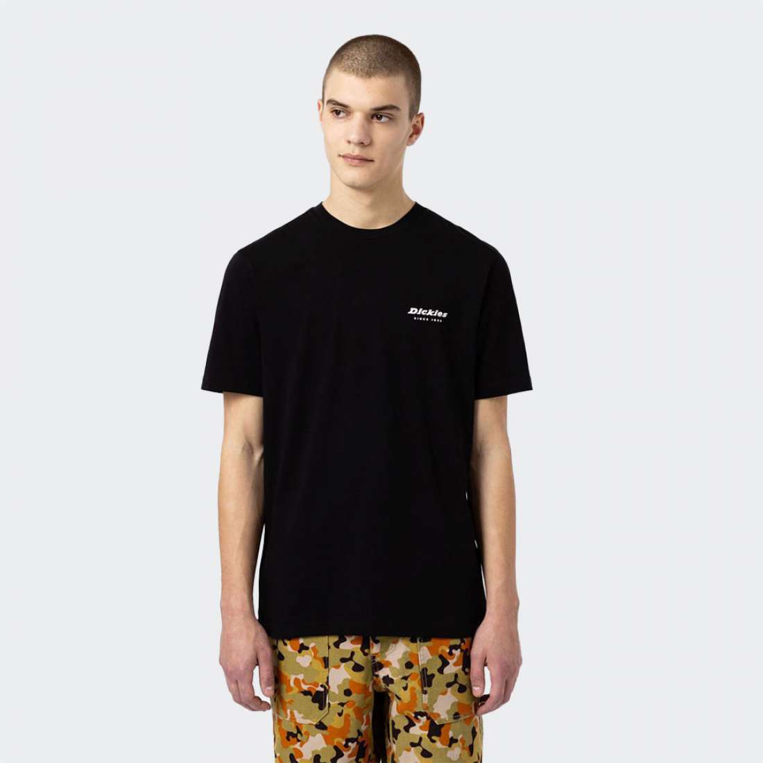 T-SHIRT DICKIES ARTONDALE BLACK