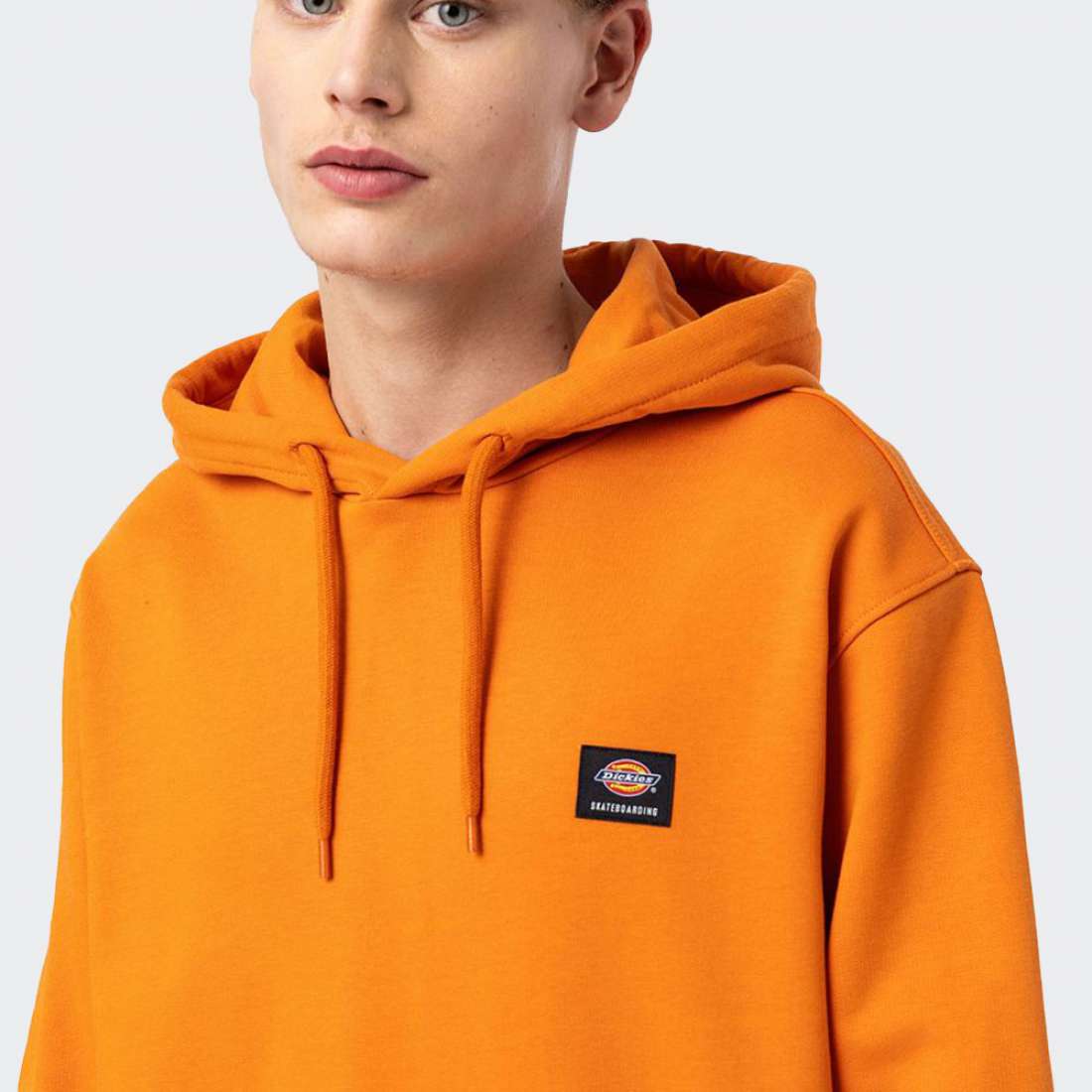 HOODIE DICKIES MOUNT VISTA ORANGE