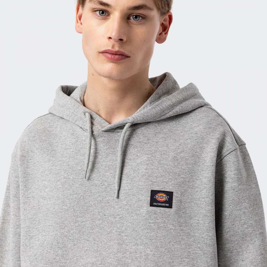 HOODIE DICKIES MOUNT VISTA GREY