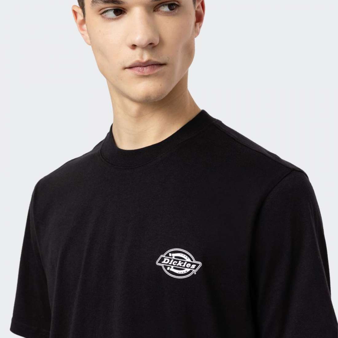 TSHIRT DICKIES HOLTVILLE BLACK