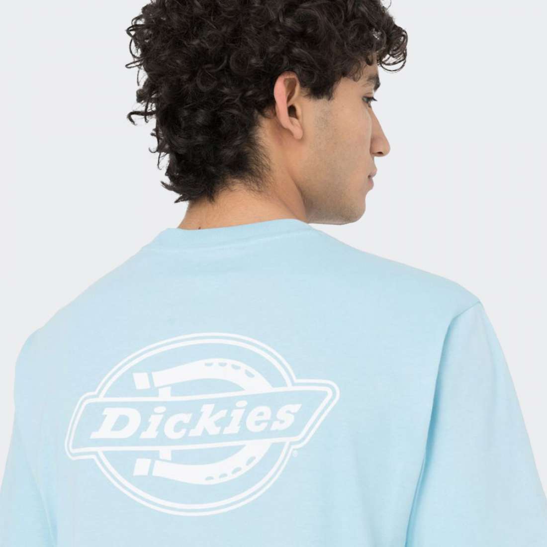 TSHIRT DICKIES HOLTVILLE SKY