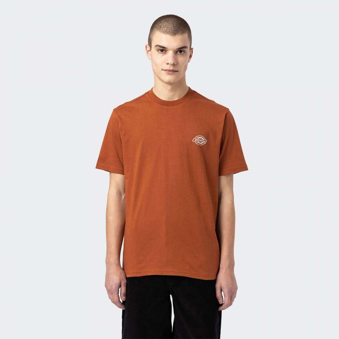 TSHIRT DICKIES HOLTVILLE GINGER