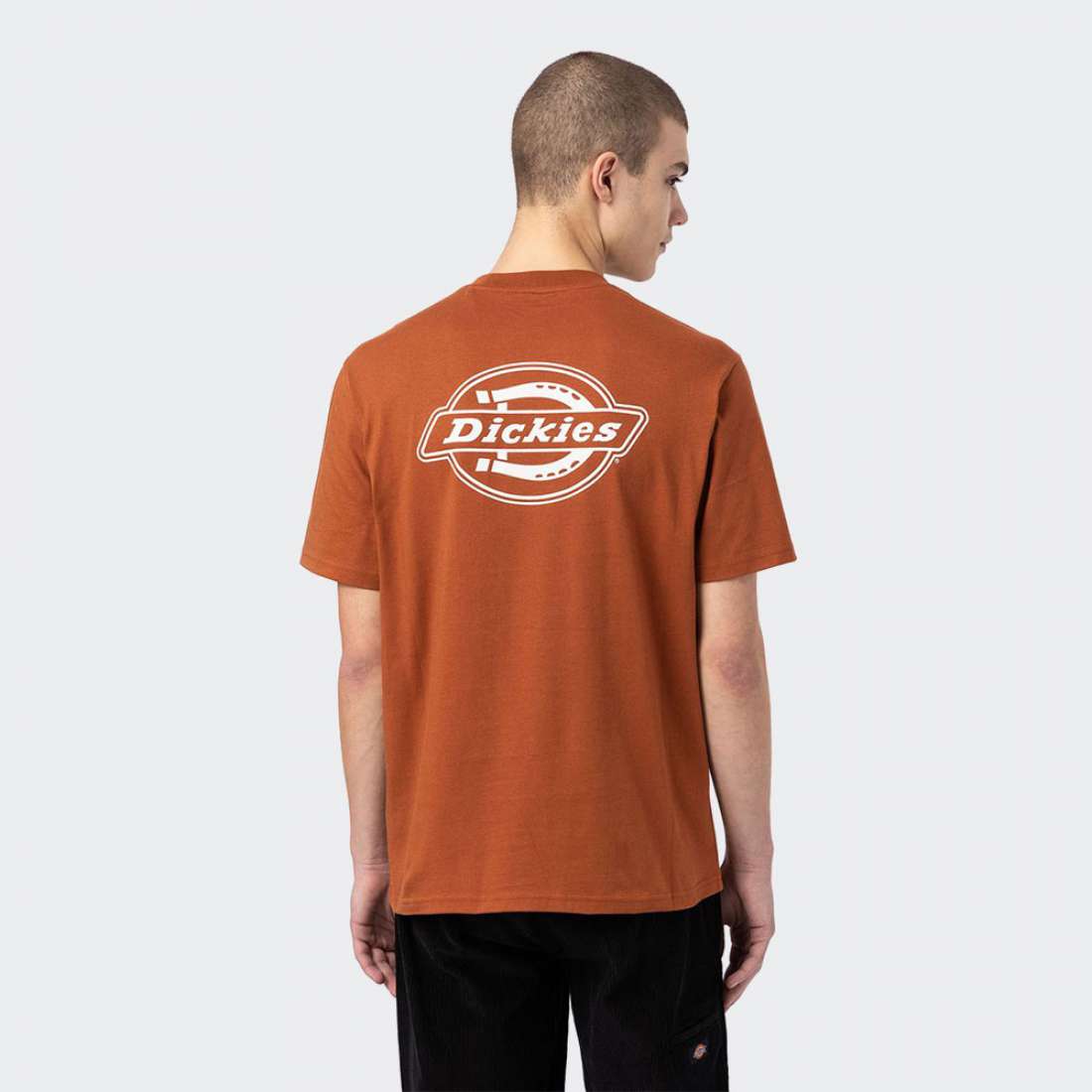 TSHIRT DICKIES HOLTVILLE GINGER