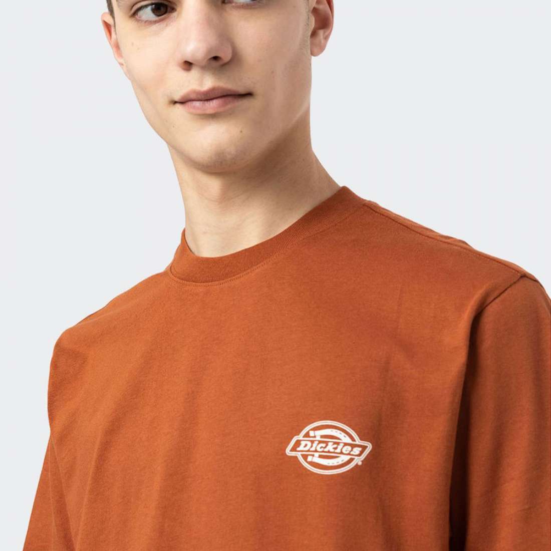 TSHIRT DICKIES HOLTVILLE GINGER