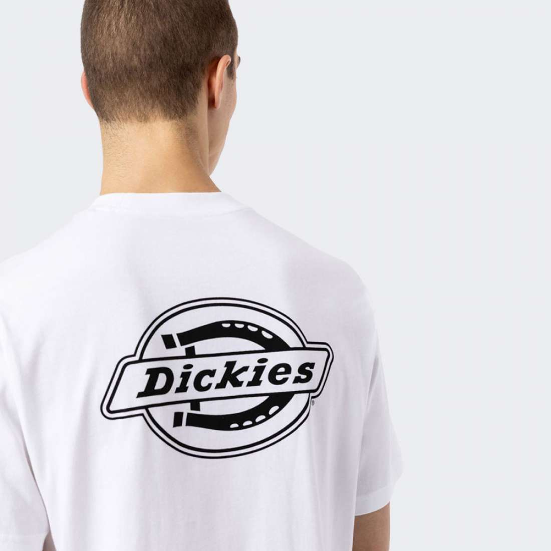 TSHIRT DICKIES HOLTVILLE WHITE