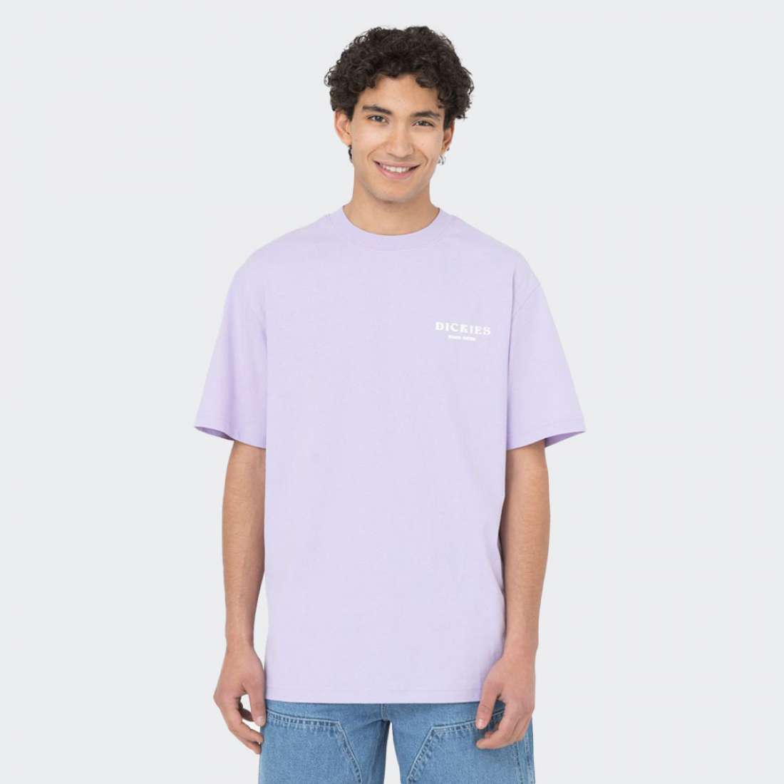 TSHIRT DICKIES OATFIELD PURPLE