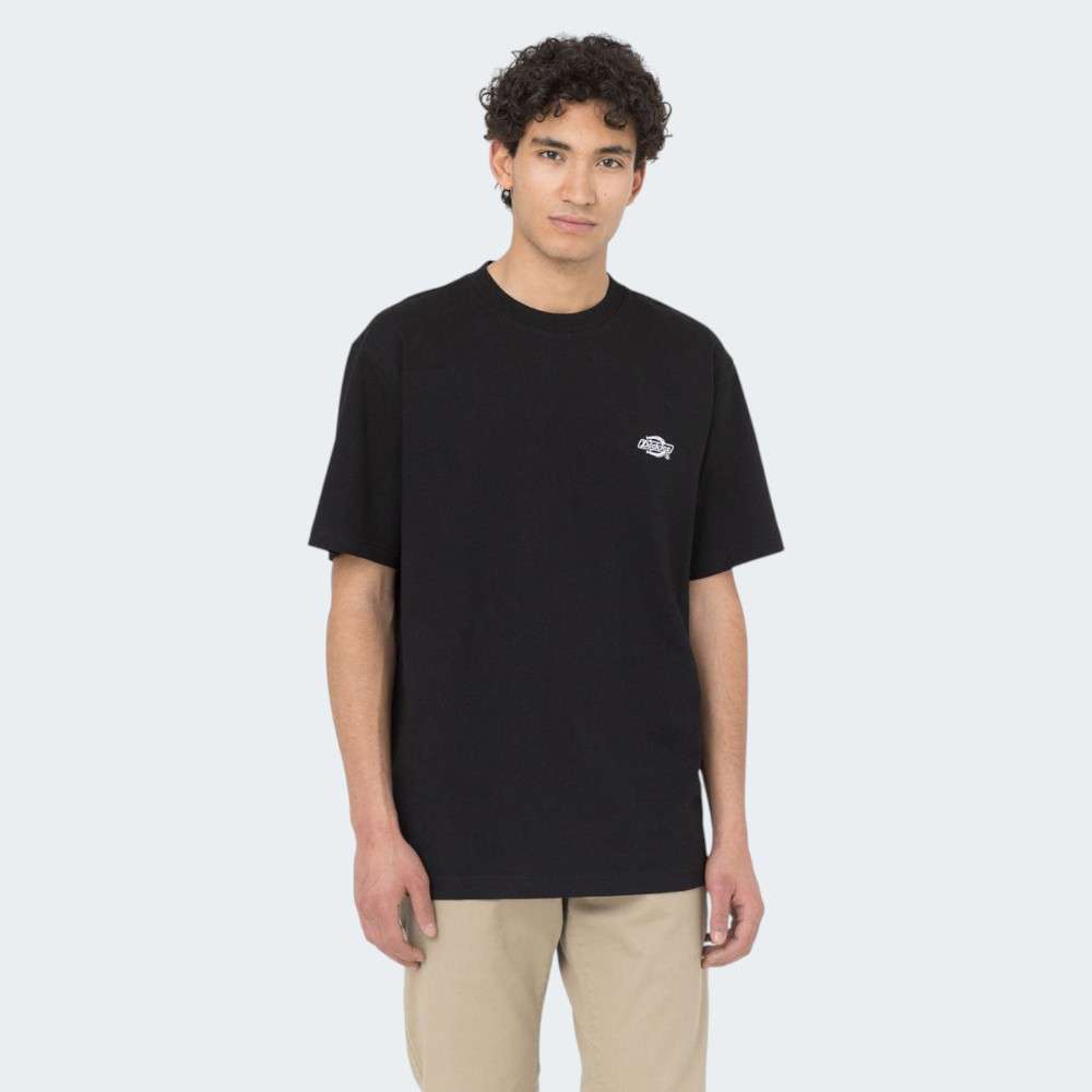 TSHIRT DICKIES SUMMERDALE