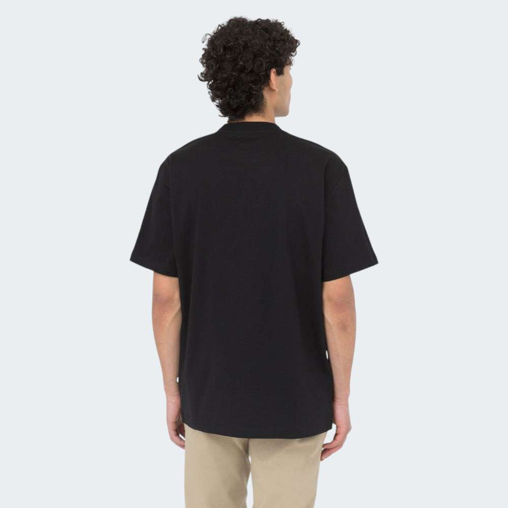 TSHIRT DICKIES SUMMERDALE