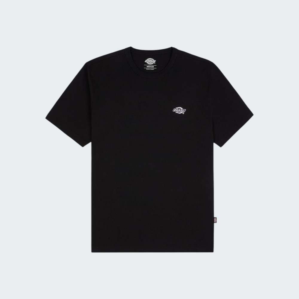 TSHIRT DICKIES SUMMERDALE