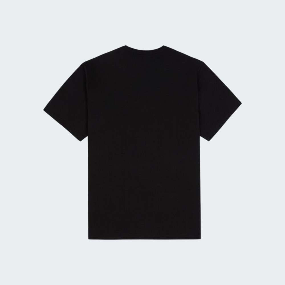 TSHIRT DICKIES SUMMERDALE