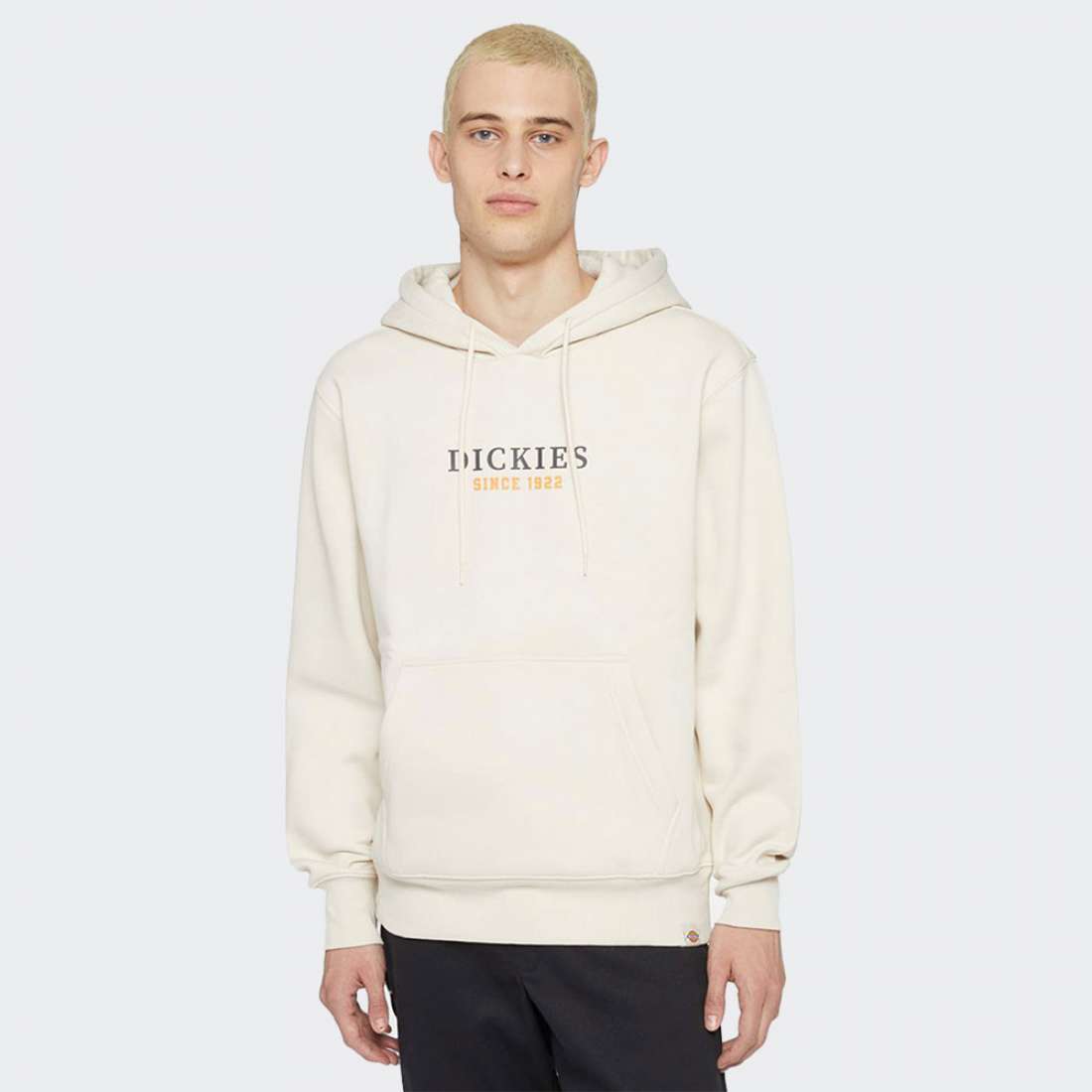 HOODIE DICKIES PARK WHITTECAP/GREY
