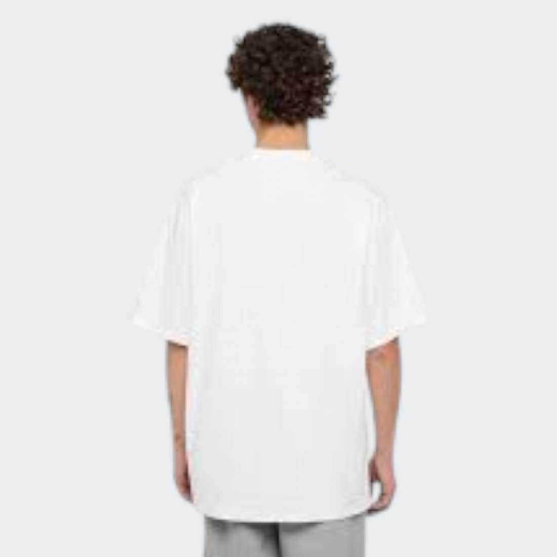 TSHIRT DICKIES CLANCY WHITE
