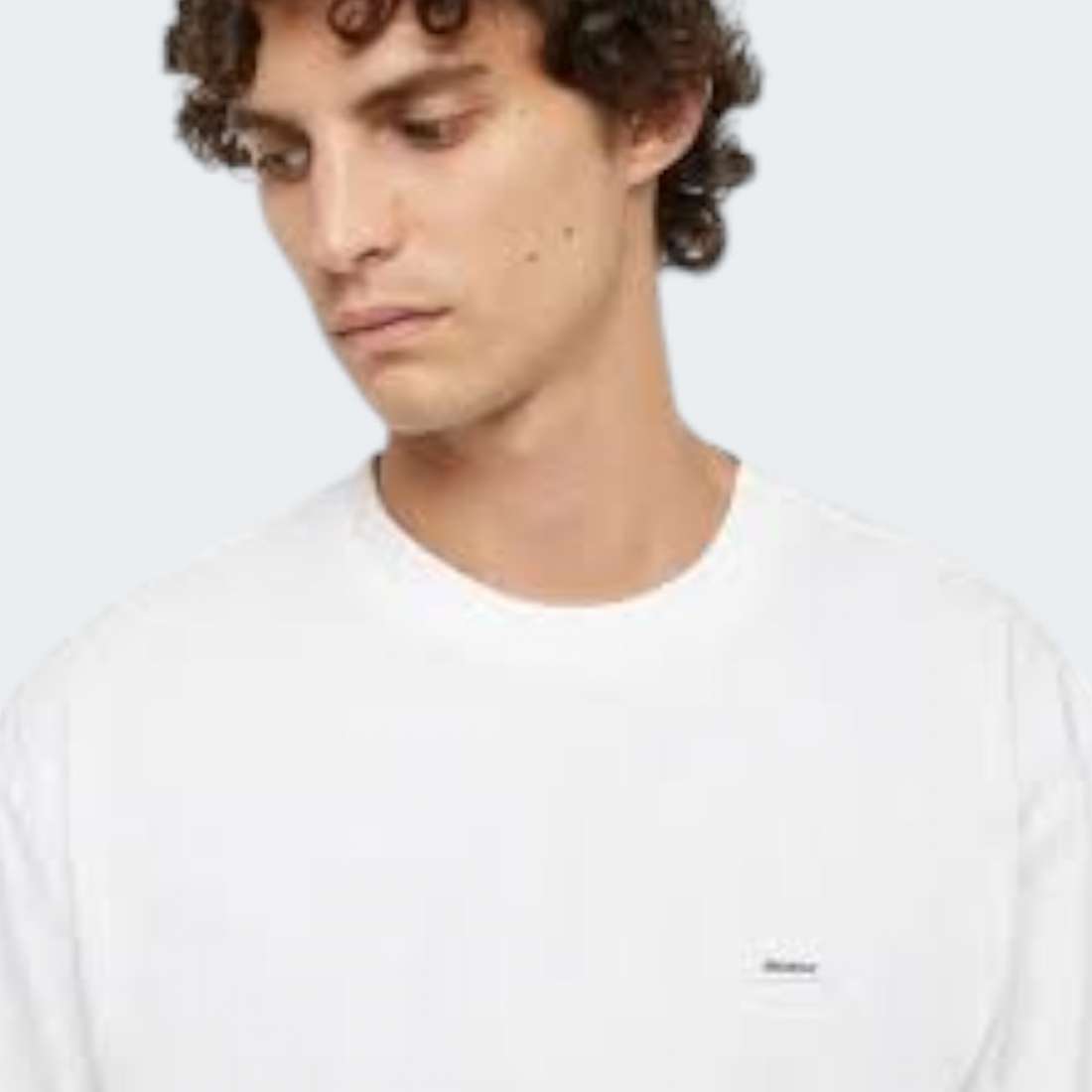 TSHIRT DICKIES CLANCY WHITE