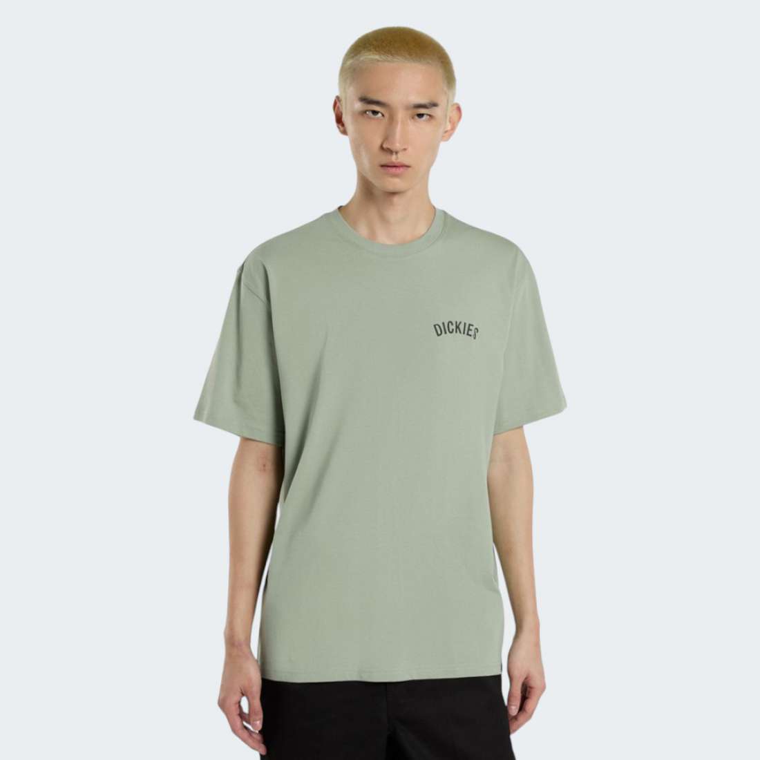 DK0A4Z99-361_GREEN