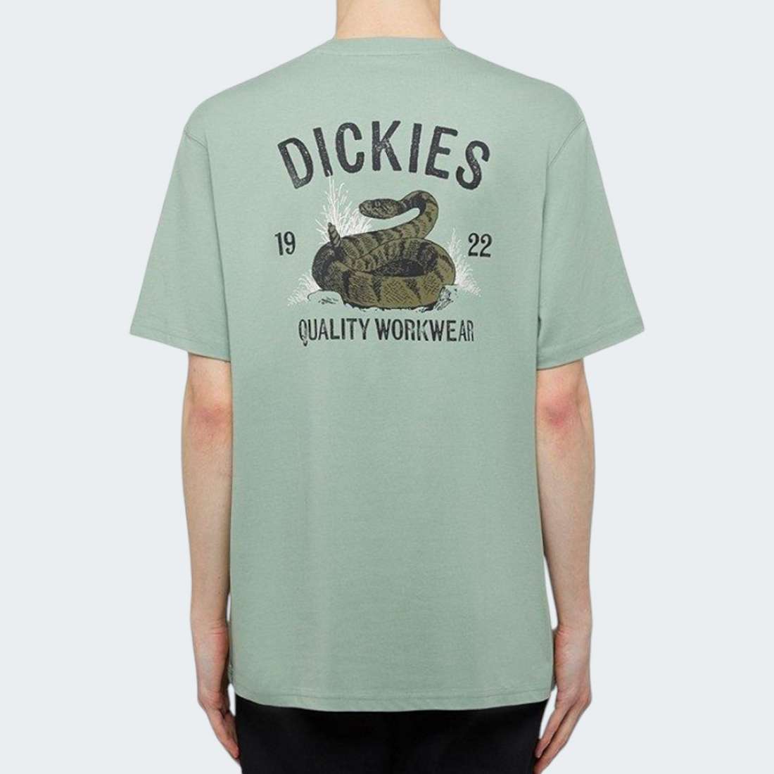 TSHIRT DICKIES SNAKE GREEN