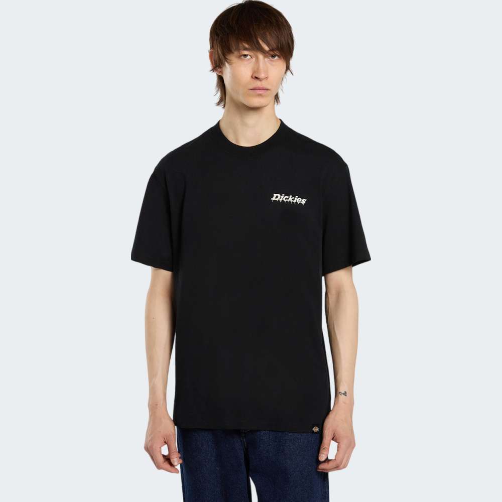 TSHIRT DICKIES STATESVILLE