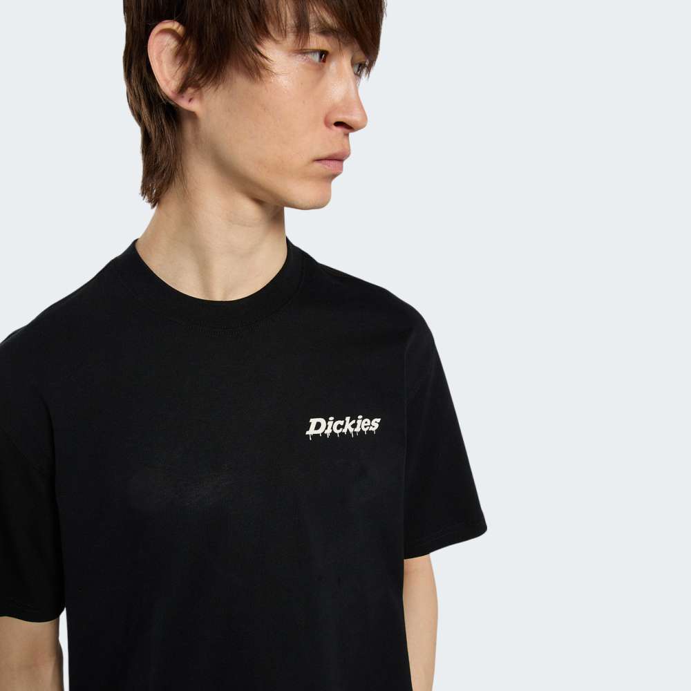 TSHIRT DICKIES STATESVILLE