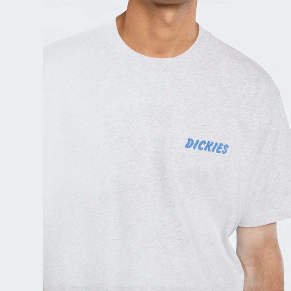 TSHIRT DICKIES DRY RIDGE