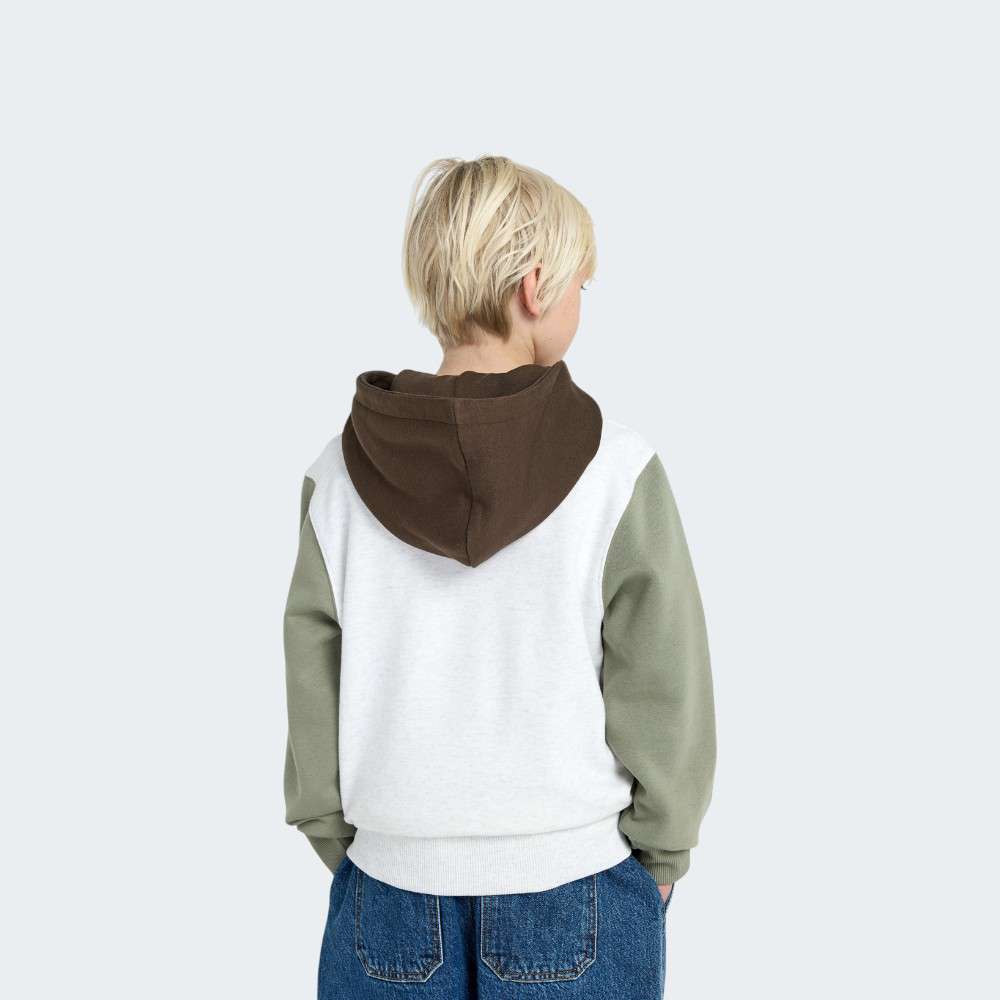 HOODIE BILLABONG ARCH BLOCK