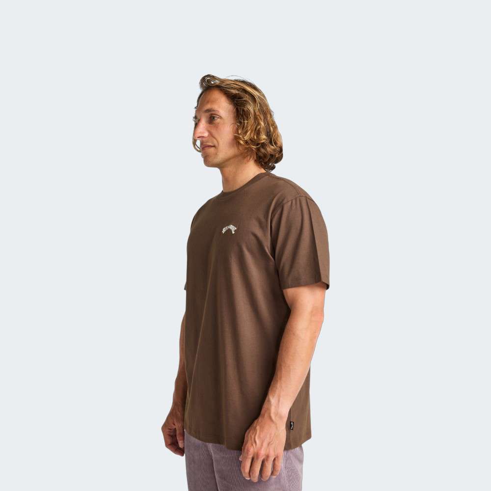 255W25 T-SHIRT BILLABONG ARCH CREW                          