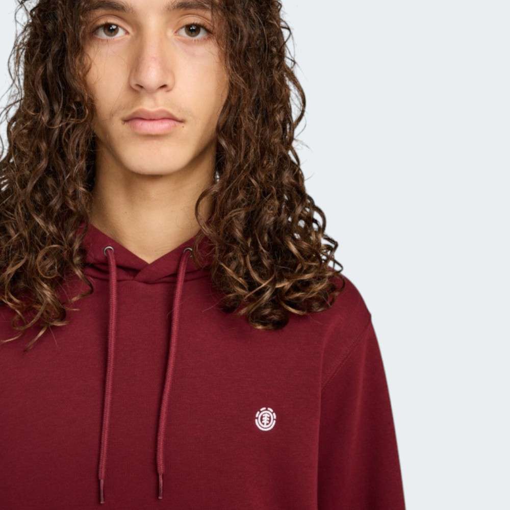 HOODIE ELEMENT ICON EMBROIDERY