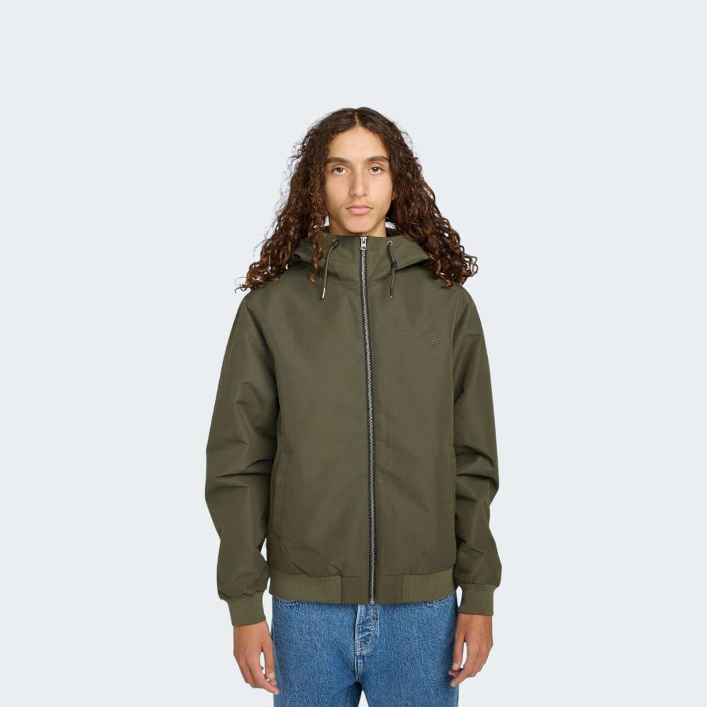 ELYJK00267-CSN0_FORESTNIGHT