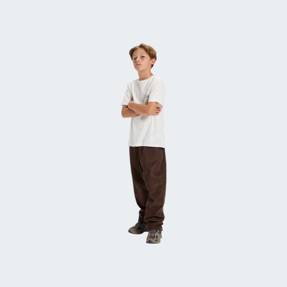 TSHIRT QUIKSILVER EVO BORDER LINES
