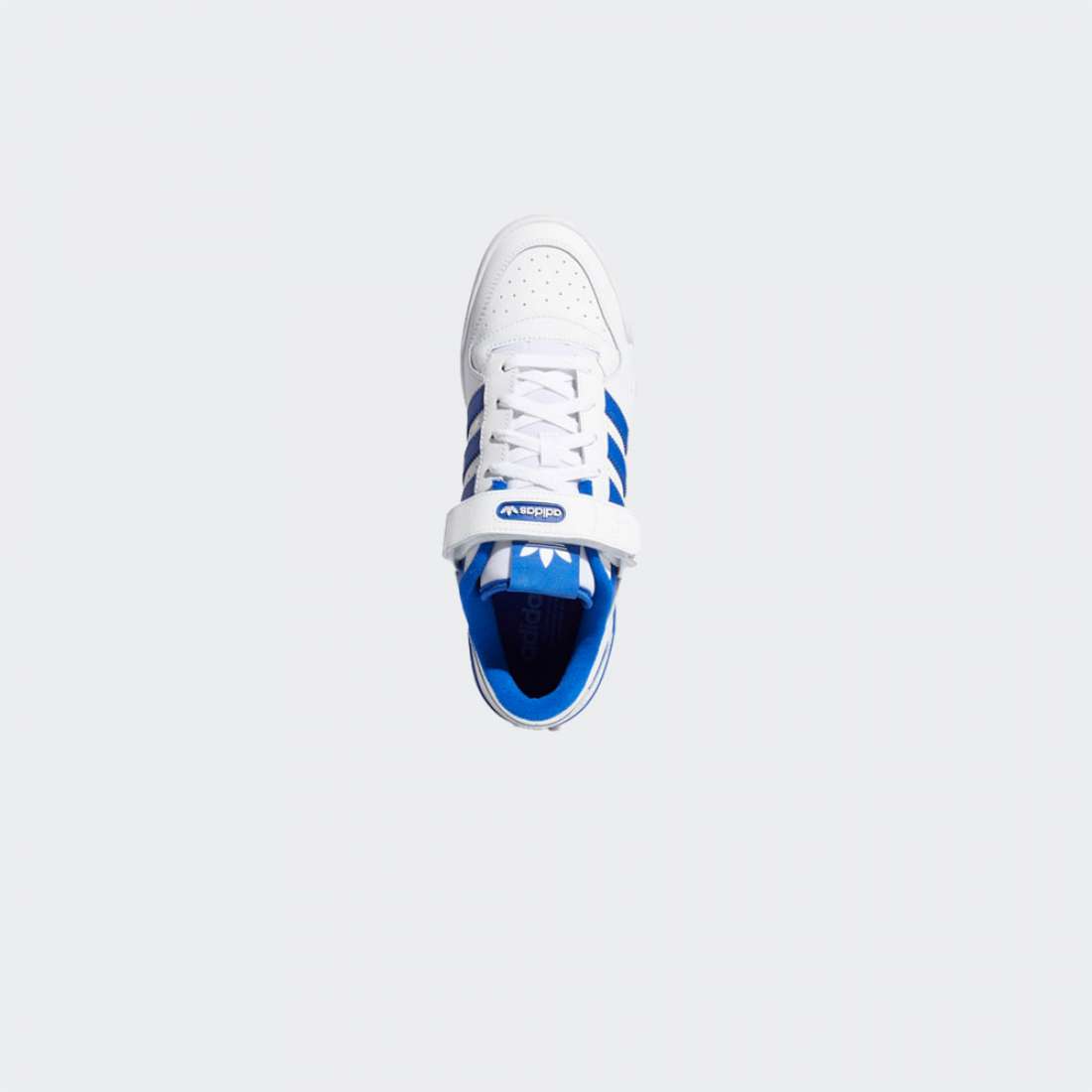FY7756_CLOUDWHITEROYALBLUE_1