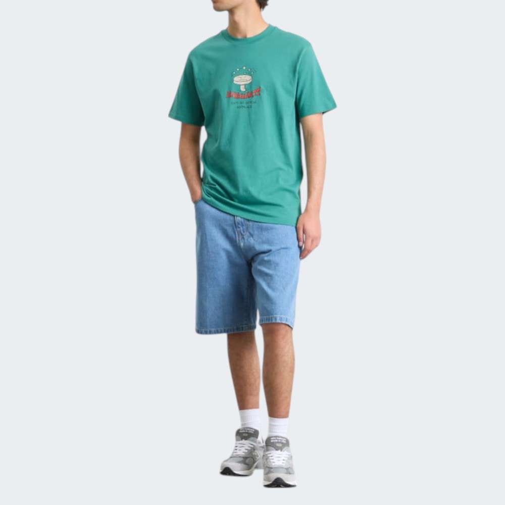 TSHIRT CARRHART ROMANCE SAGUARO